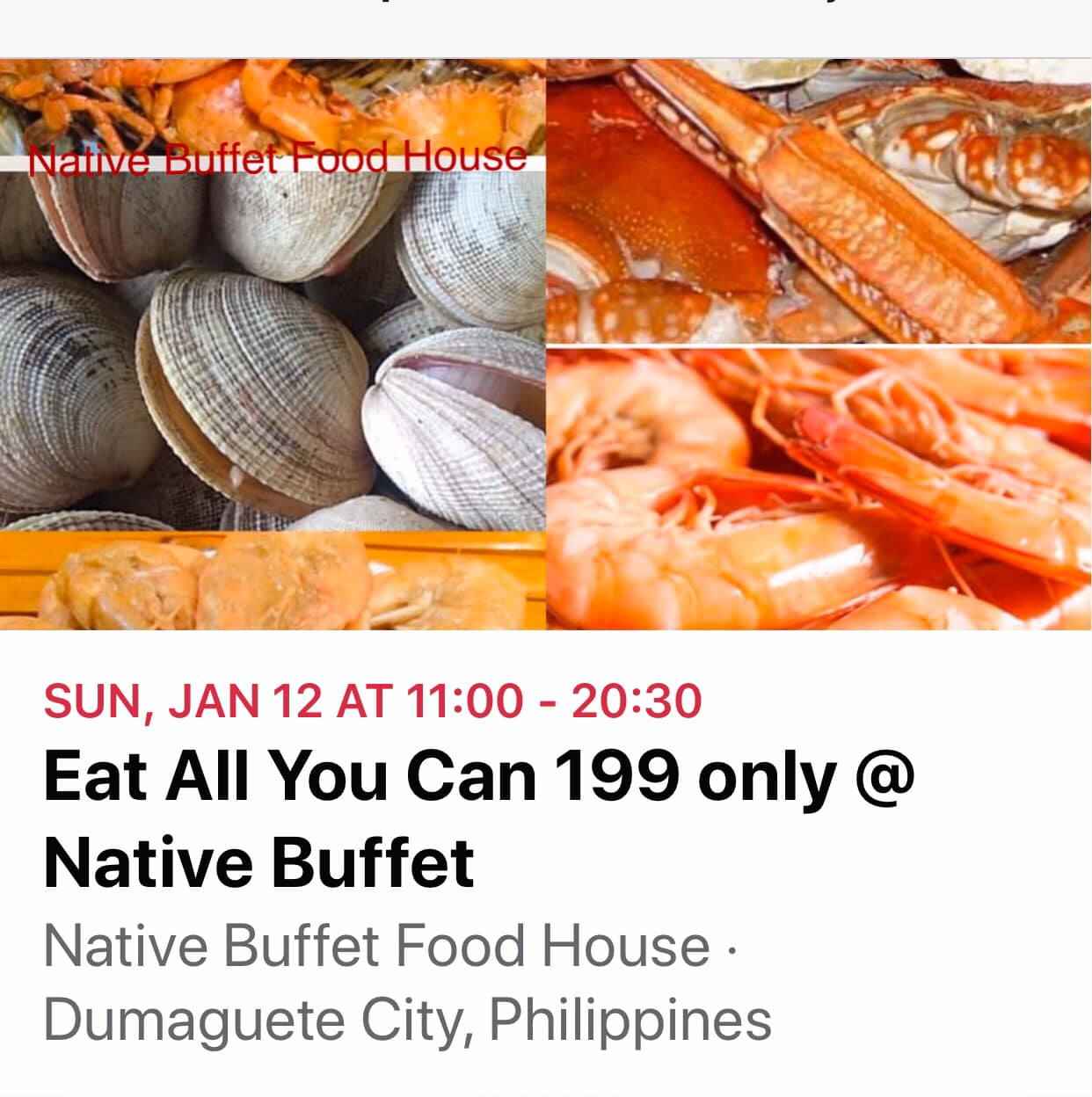 Native Buffet Food House | Don Carlos