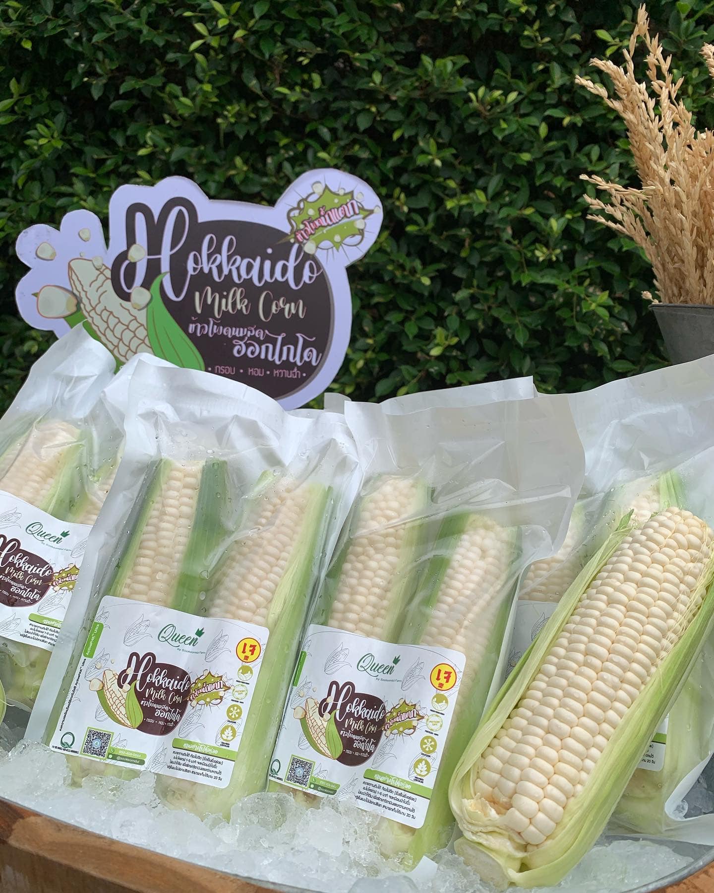 ⭐️🌽 ข้าวโพดหวานทานสด จากแดนปลาดิบ “... - Queenth.official