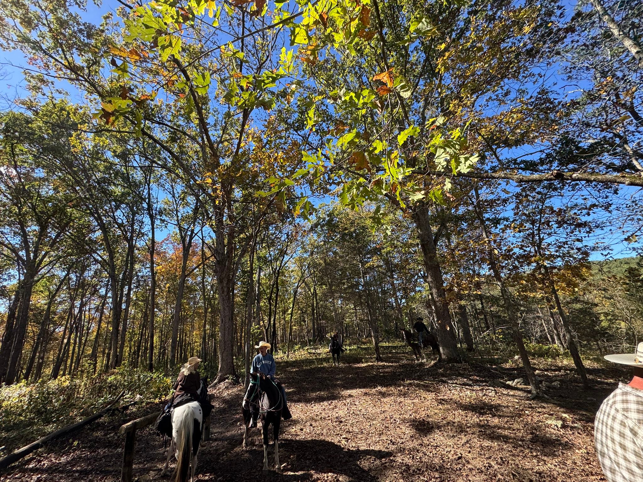 Old Desperado Ranch added a new... - Old Desperado Ranch