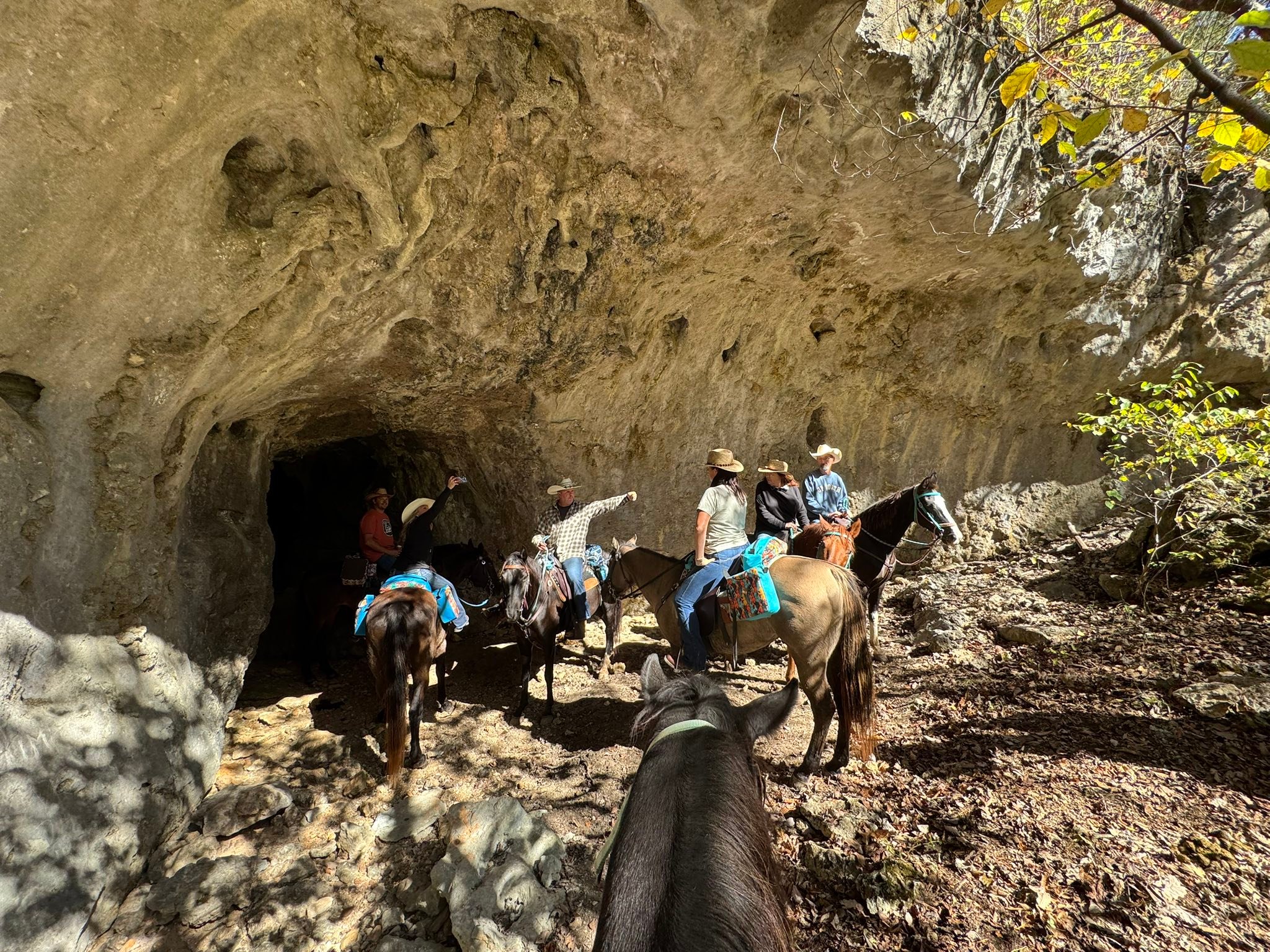Old Desperado Ranch added a new... - Old Desperado Ranch