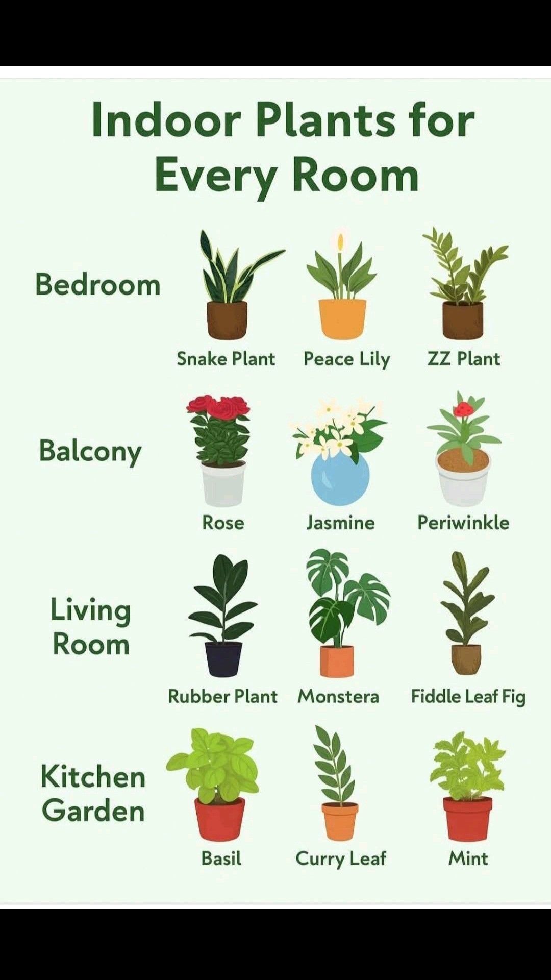 Amazing - 🌿 Indoor Plants for Every Room 🌿 Want to make your home ...