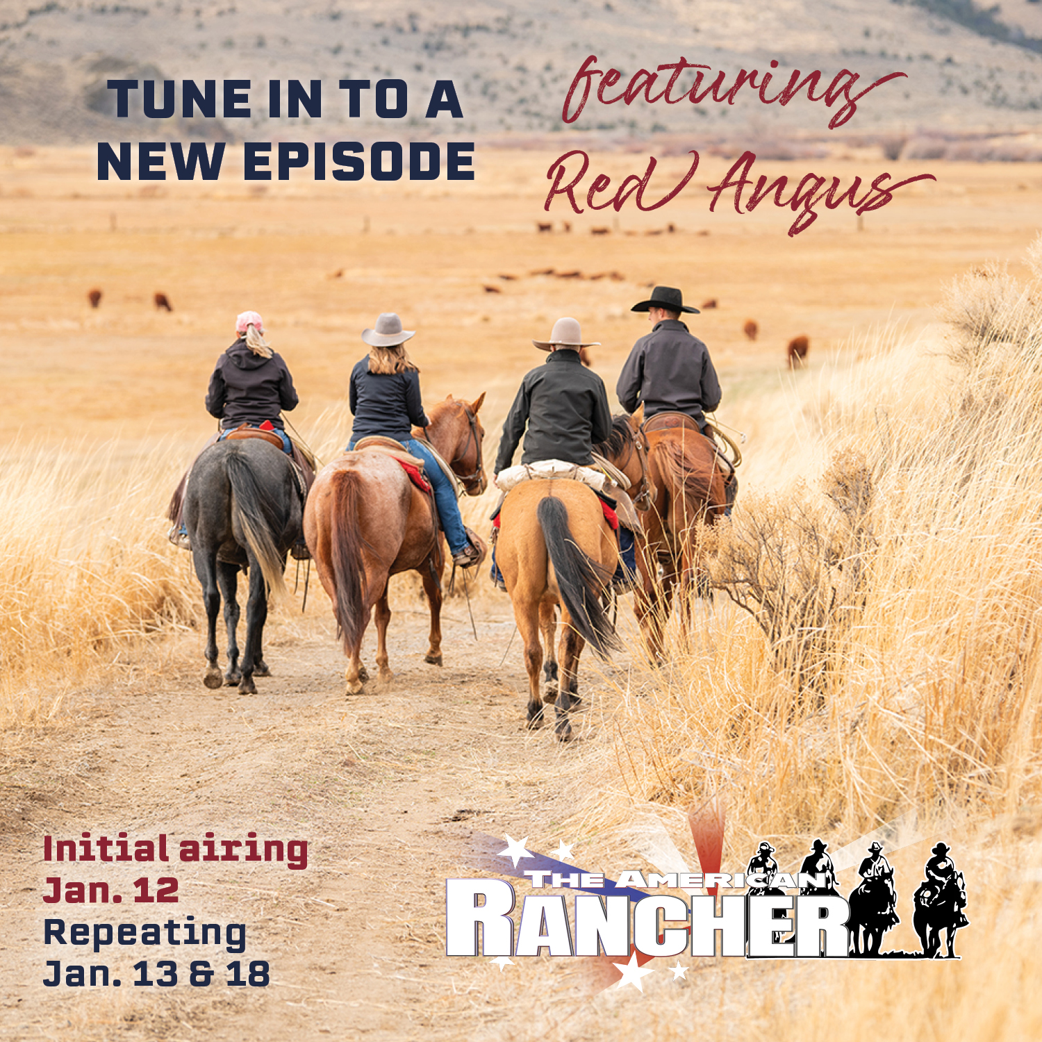 High-desert seasons,... - Red Angus Association of America | Facebook