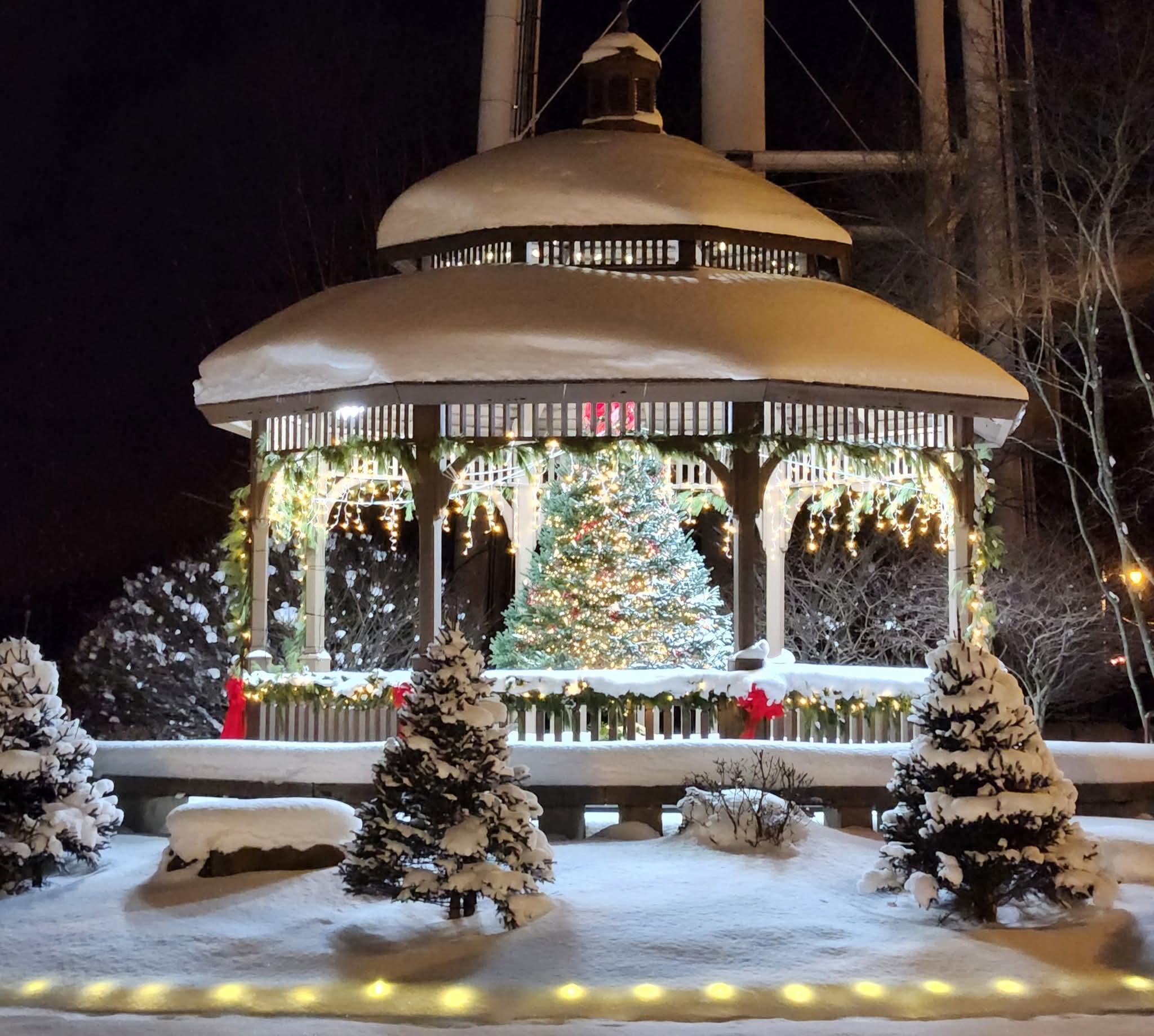 Looks like a Christmas card, doesn't it?! 🎄❄️ Our P.J. Ziegler