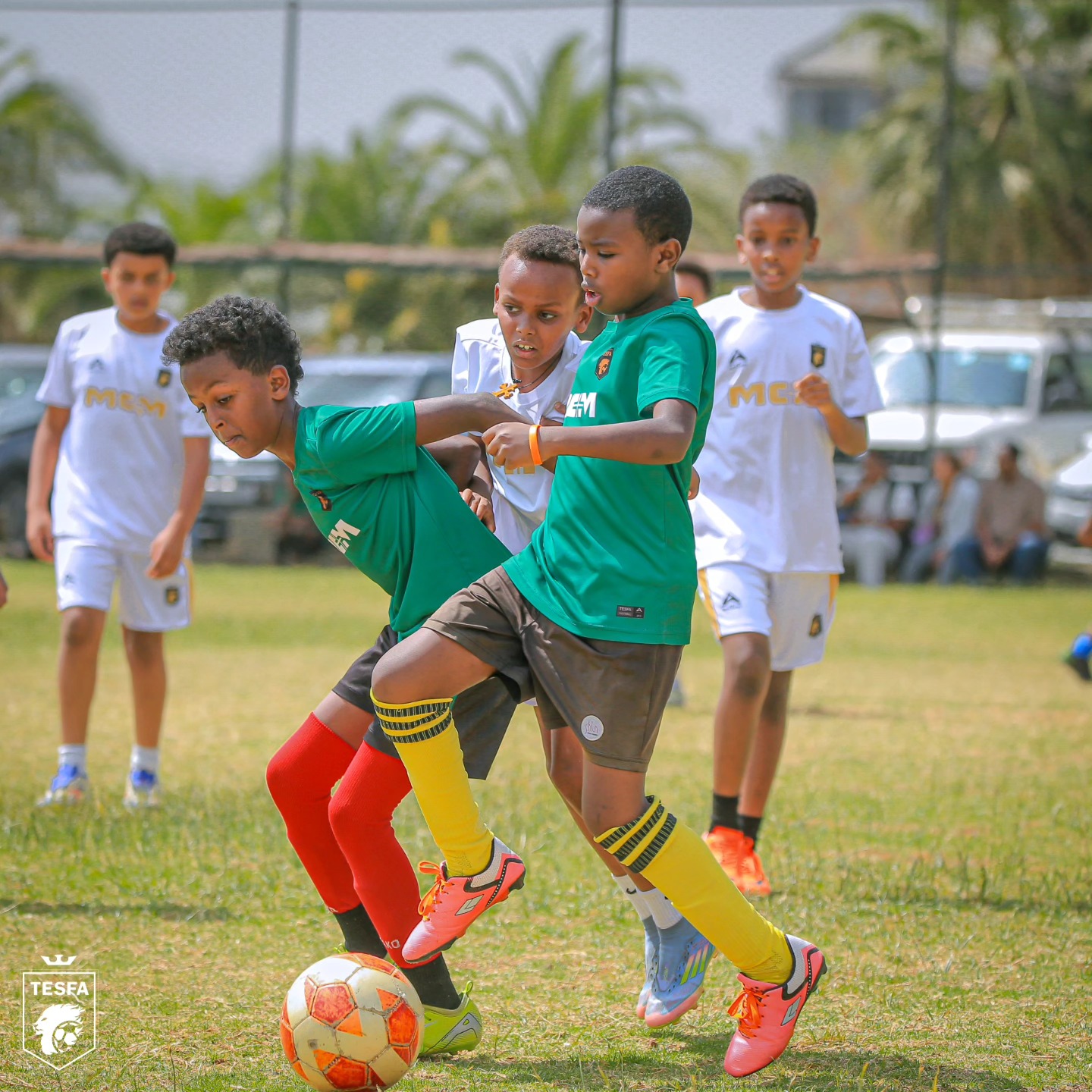 TESFA Football Academy | Addis Ababa