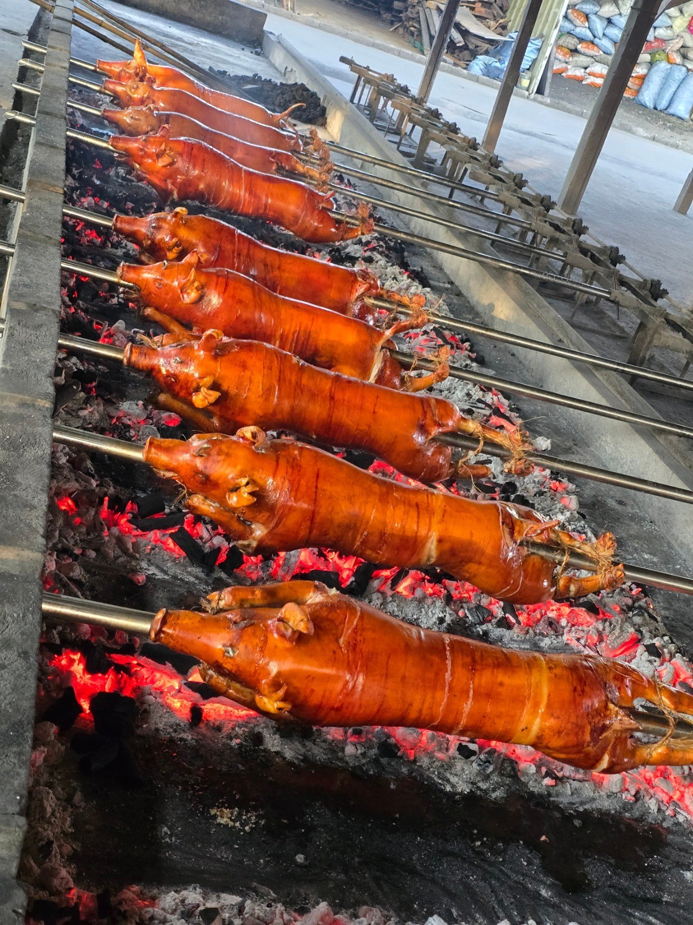 Java's Lechon - Thank you,Chef Rv🐷 #javaslechonbaboy # ...