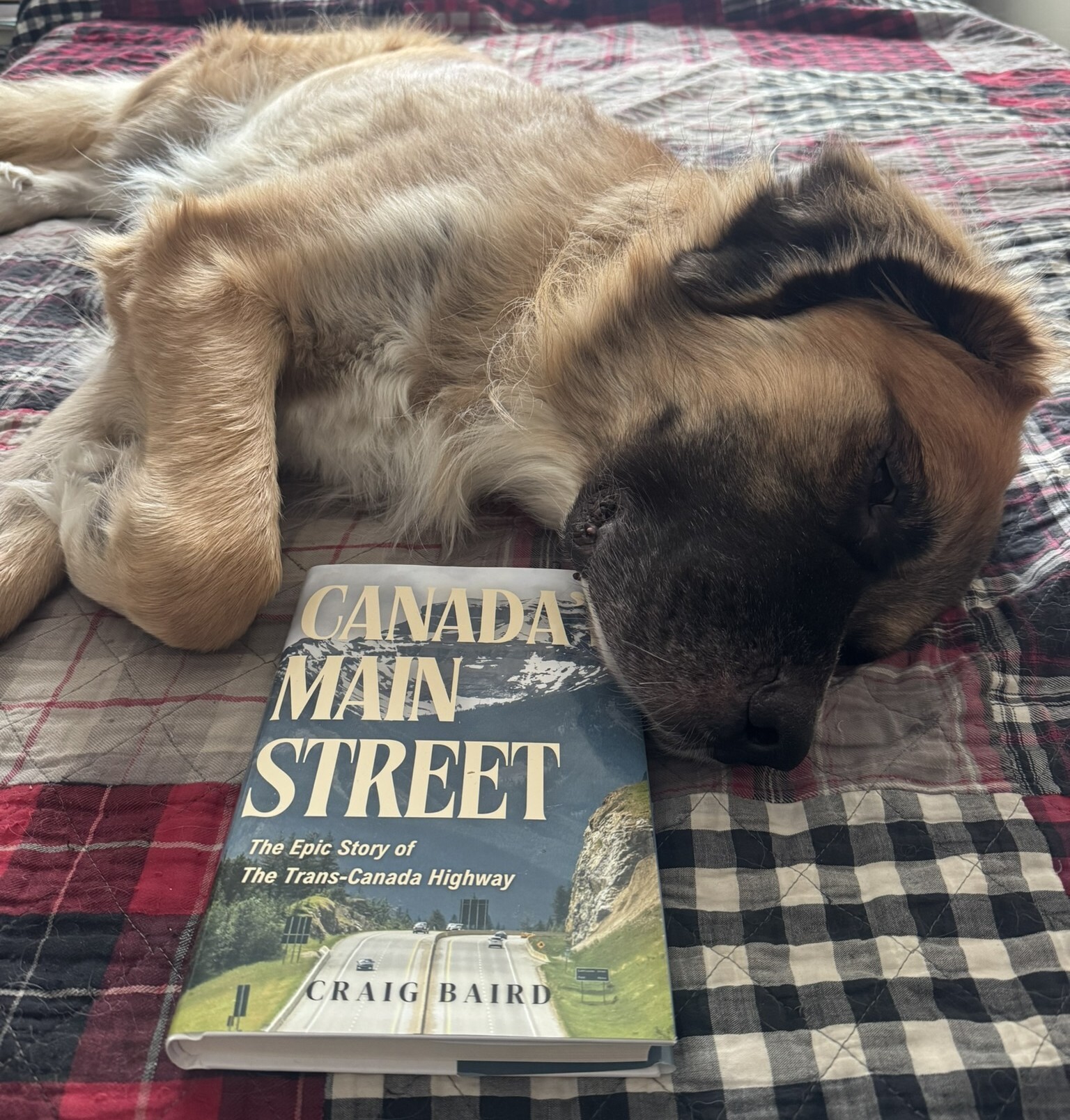 Canadian - Berton gave my book Canada's Main Street 5 Tail Wags out of ...