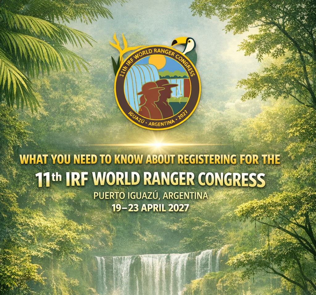 International - 🌍 Everything You Need to Know About Registration for ...