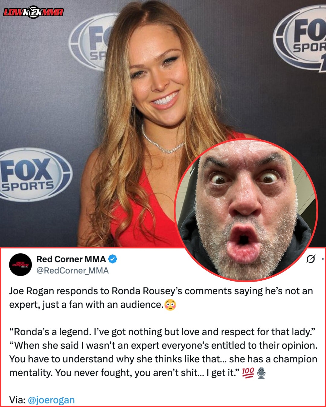 LowKick - Joe Rogan reacts to Ronda Rousey criticism: 