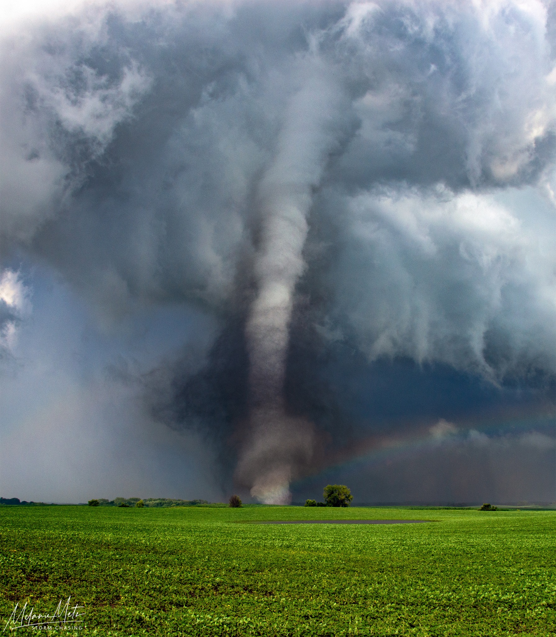 奄美タタロウ様④ June 17 2010 tornado outbreak anniversary