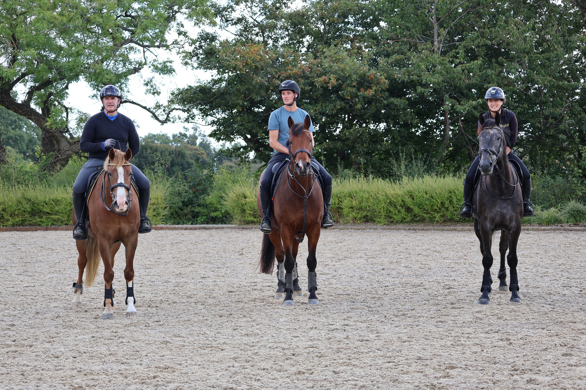 NEU IN EQUISHOP 🐎 Adamsbro ➡️ bit.ly/3ckNmrl
