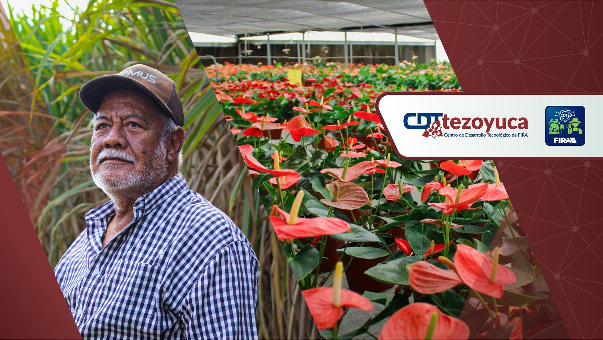 ¡Regístrate gratis en el... - Intagri - Capacitación Agrícola | Facebook