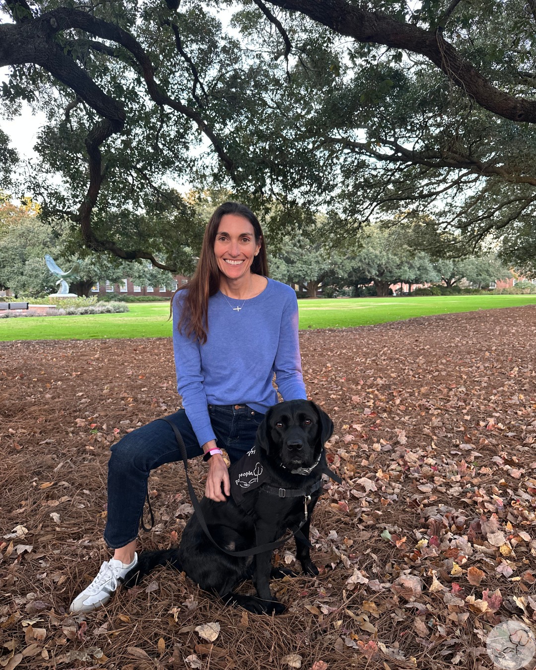 paws4people - We would like to introduce to you our ten newest ...