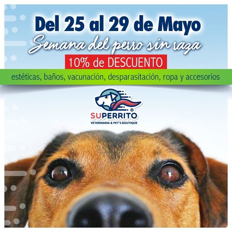 Superrito - 👉🏻 Cualquier peludito nos puede brindar amor...