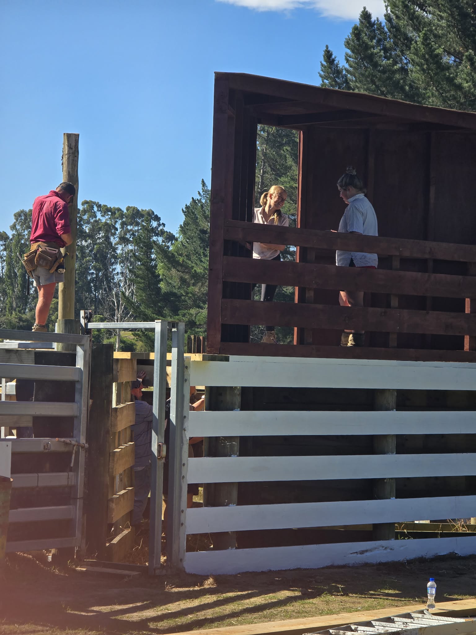 Waikouaiti Rodeo added a new photo. - Waikouaiti Rodeo