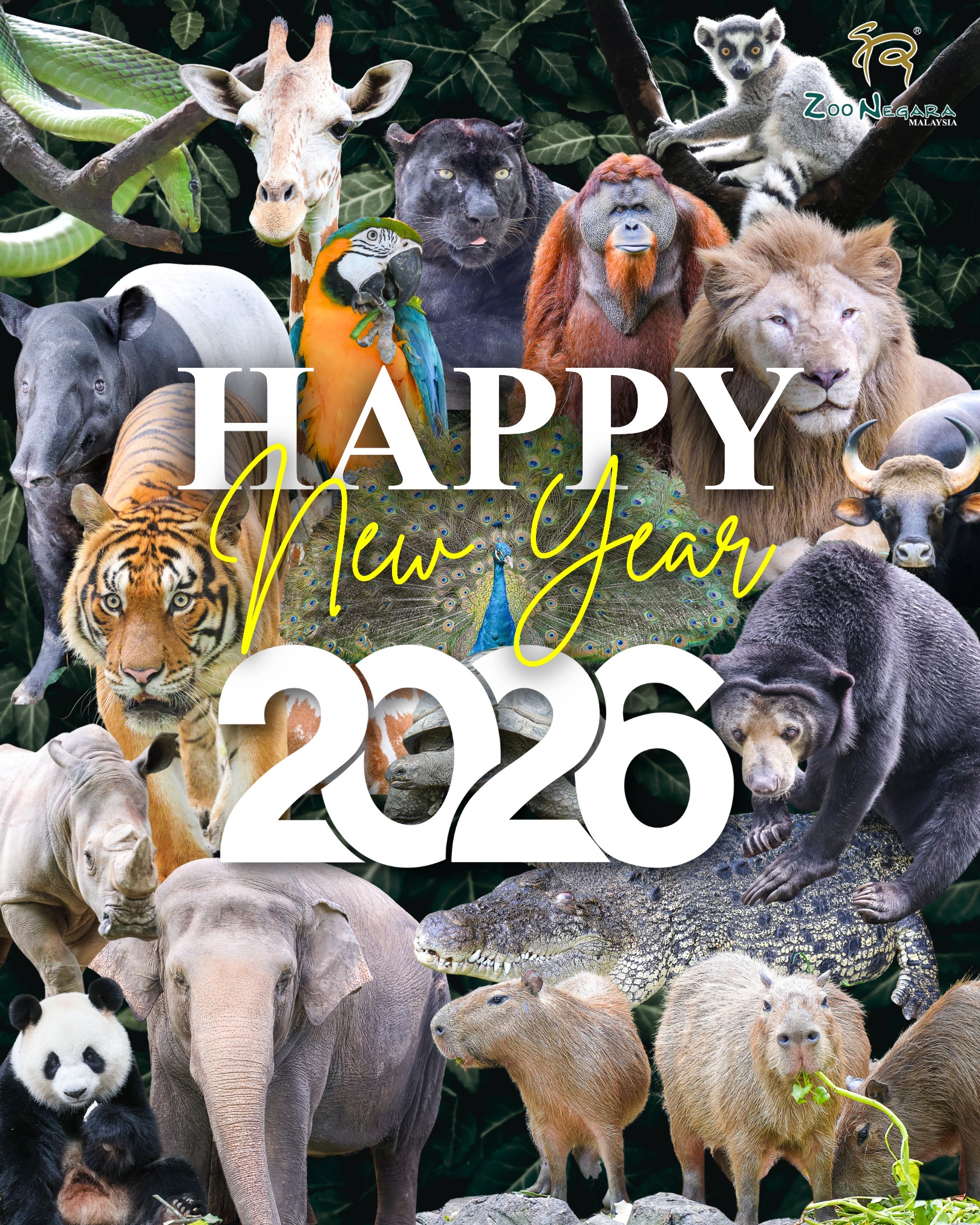 Zoo Negara wishes you a very Happy New Year 2026!🐾🎉🎊 May this