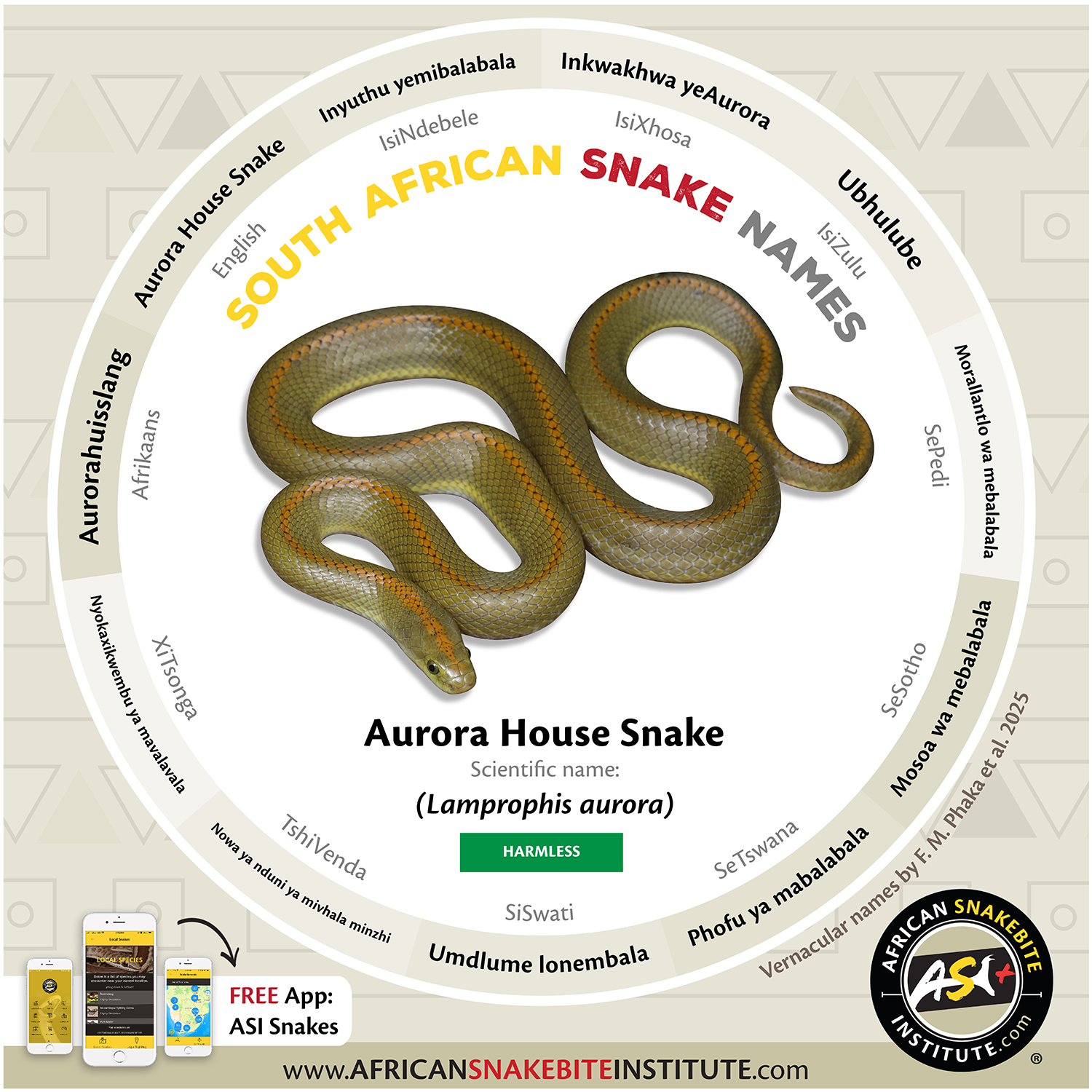 African - Next up in the Local Snake Names for South Africa - The ...