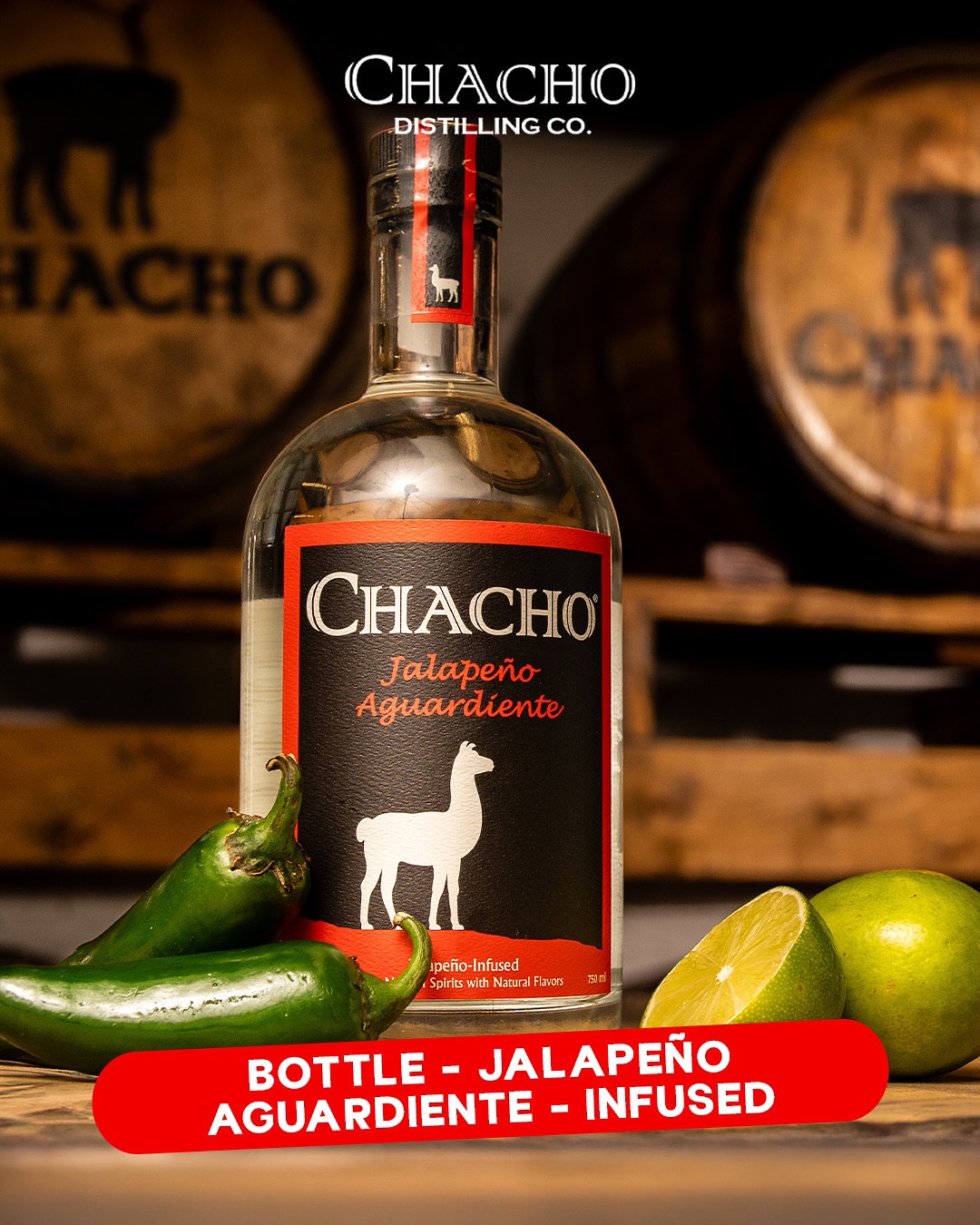 Chacho | Washington D.C. DC