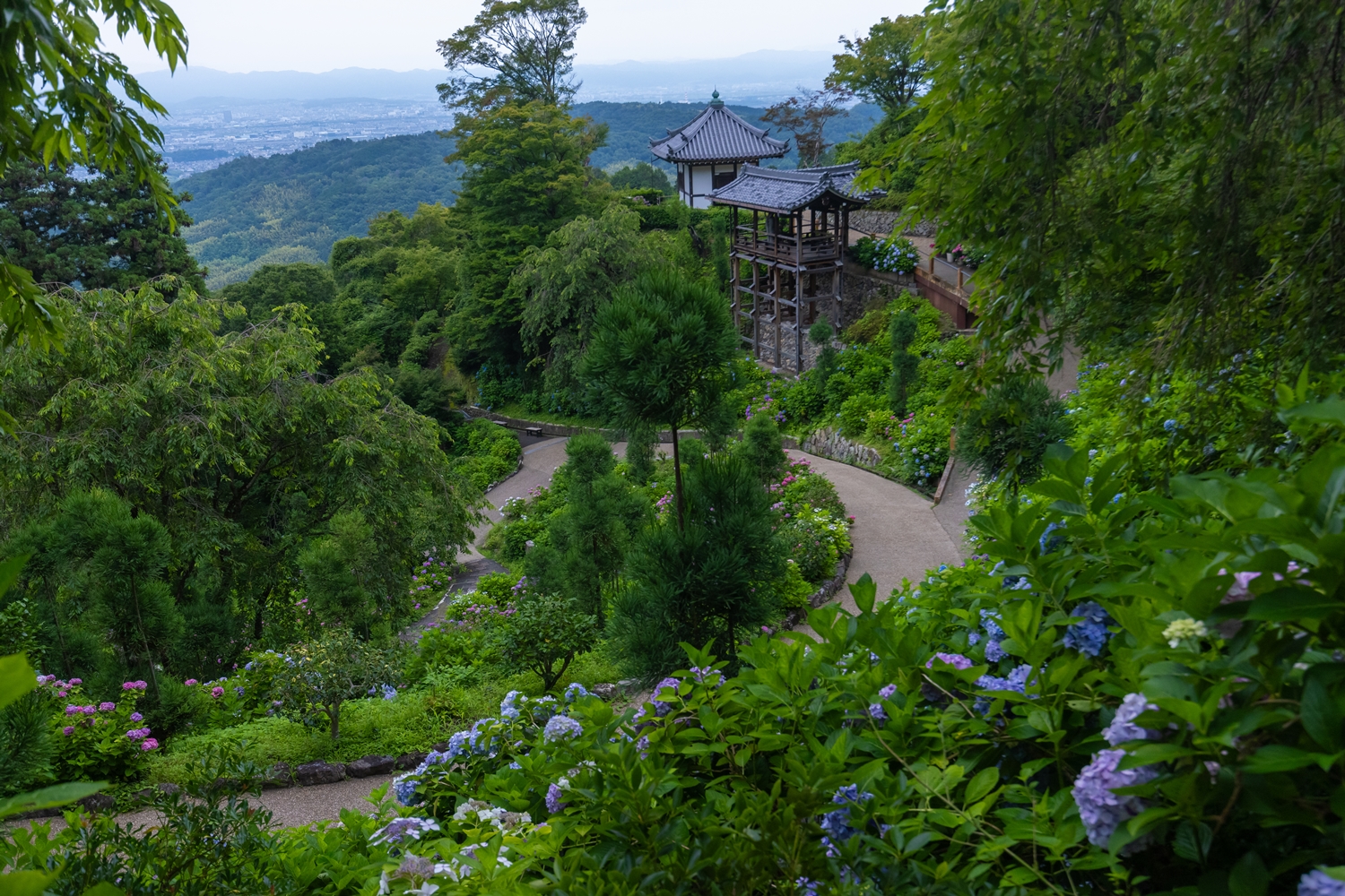 京都 西山 善峯寺 Yoshiminedera Temple | Kyoto-shi Kyoto