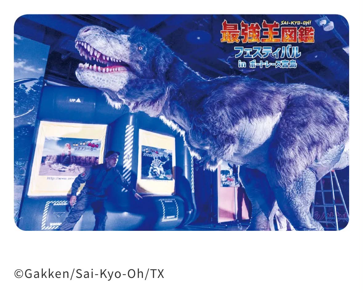 2026年版】山口県ホタルまつりリスト✨ この季節だけの特権！ 5月下旬