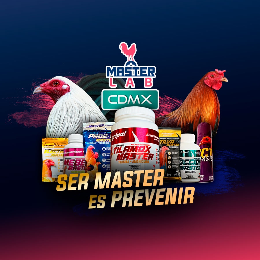 Masterlab CDMX | Mexico City