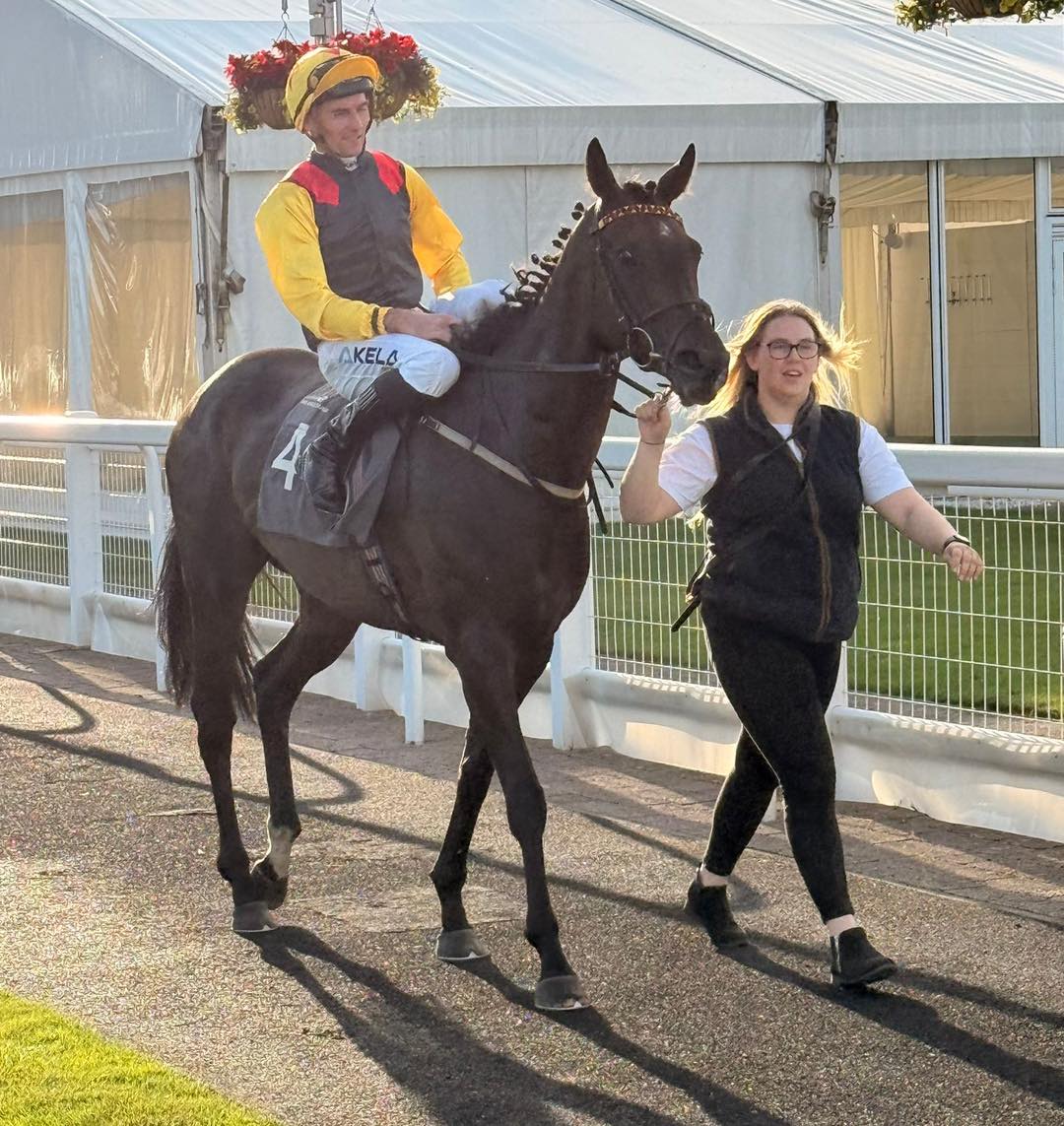 JJ aka Jannas Journey won her 5th race... - Jim Goldie Racing | Facebook