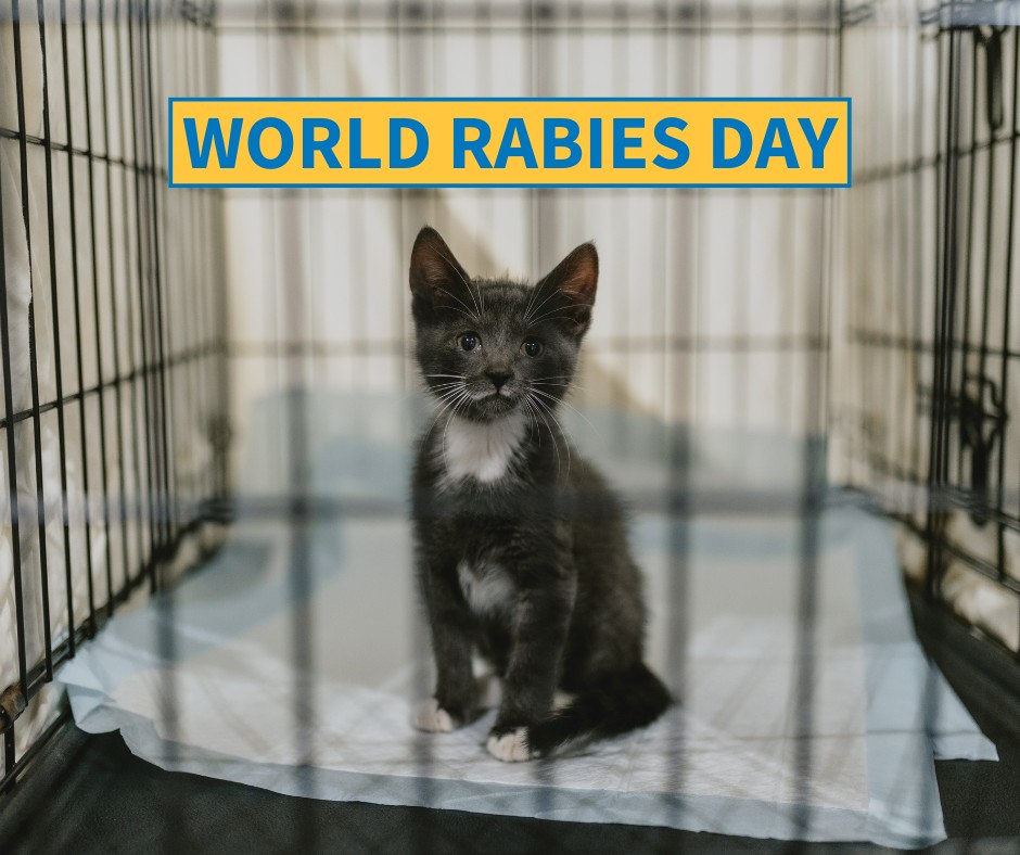 The Ontario - Today is World Rabies Day. Did you know? Rabies is fatal ...