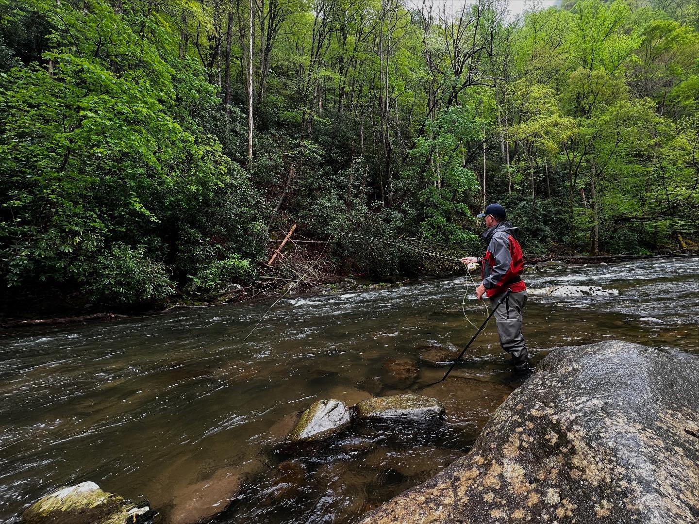 Blue Ridge Trout Trek | Blue Ridge GA