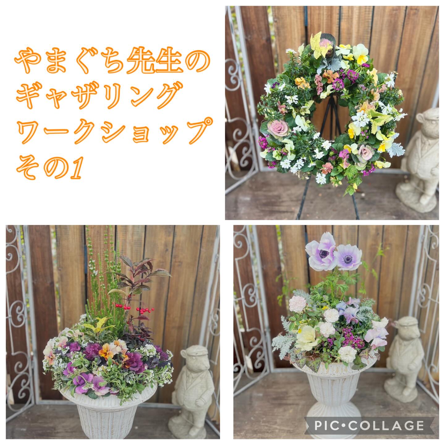 グリーンファーム戸塚深谷店 - グリーンファーム戸塚深谷店 added a
