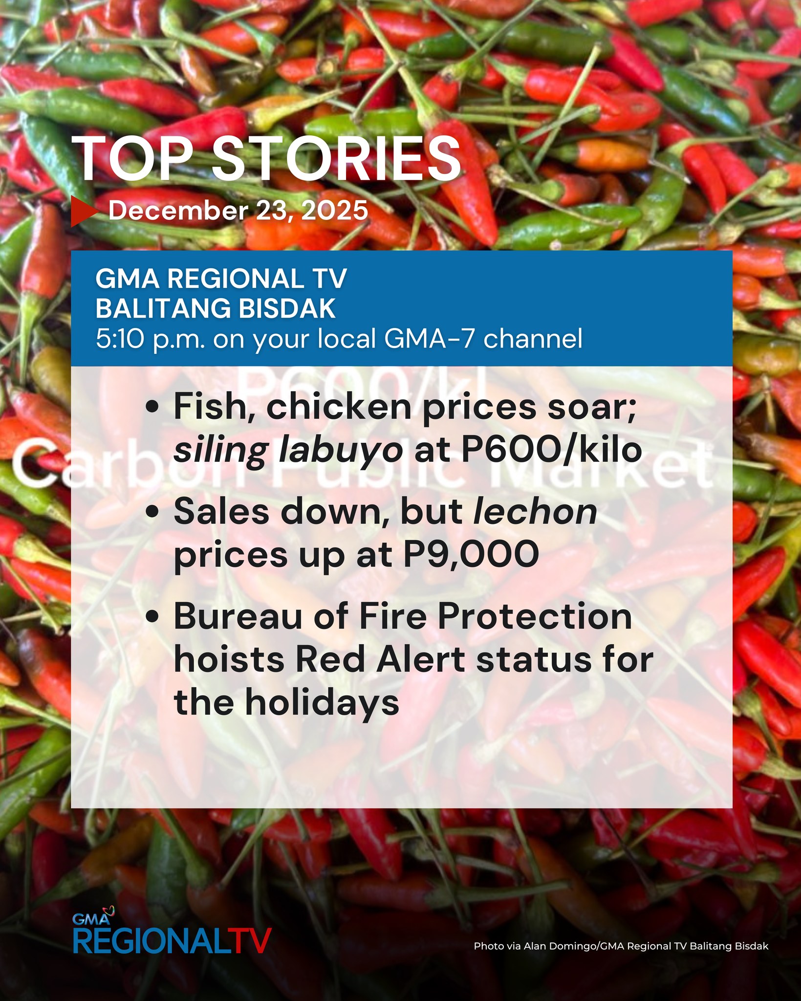 LOOK: A Christmas garden in... - GMA Regional TV News | Facebook