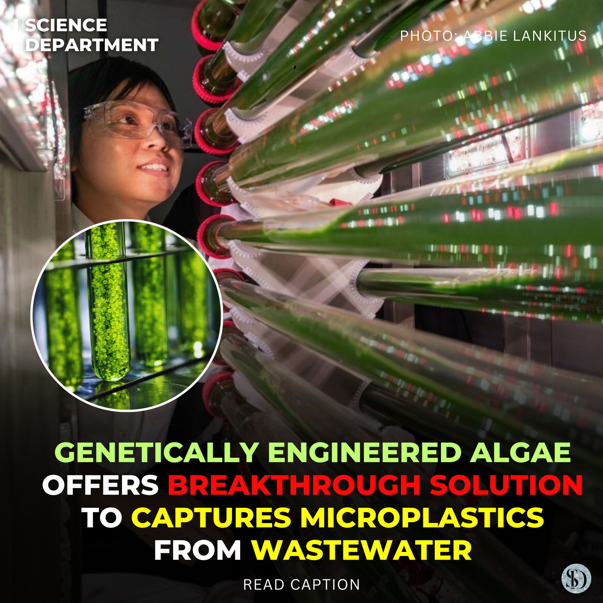 Science - Prof. Susie Dai of the University of Missouri has developed a ...