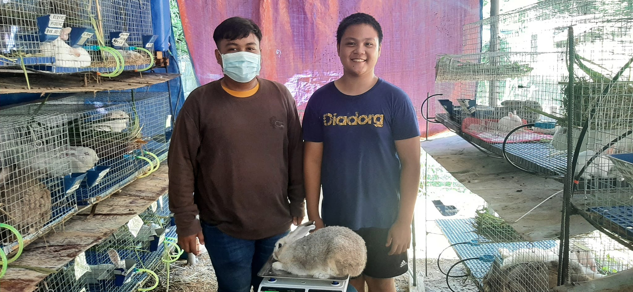 T&G Rabbitry - REHOMED! Thank you sa ating customer from...