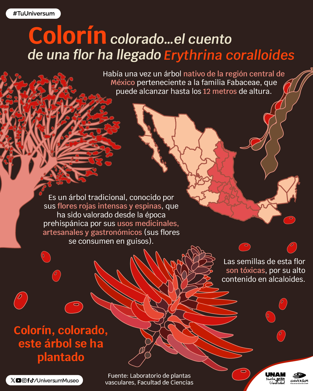 Universum, - Colorín colorado... el cuento de una flor ha llegado. ♥ # ...