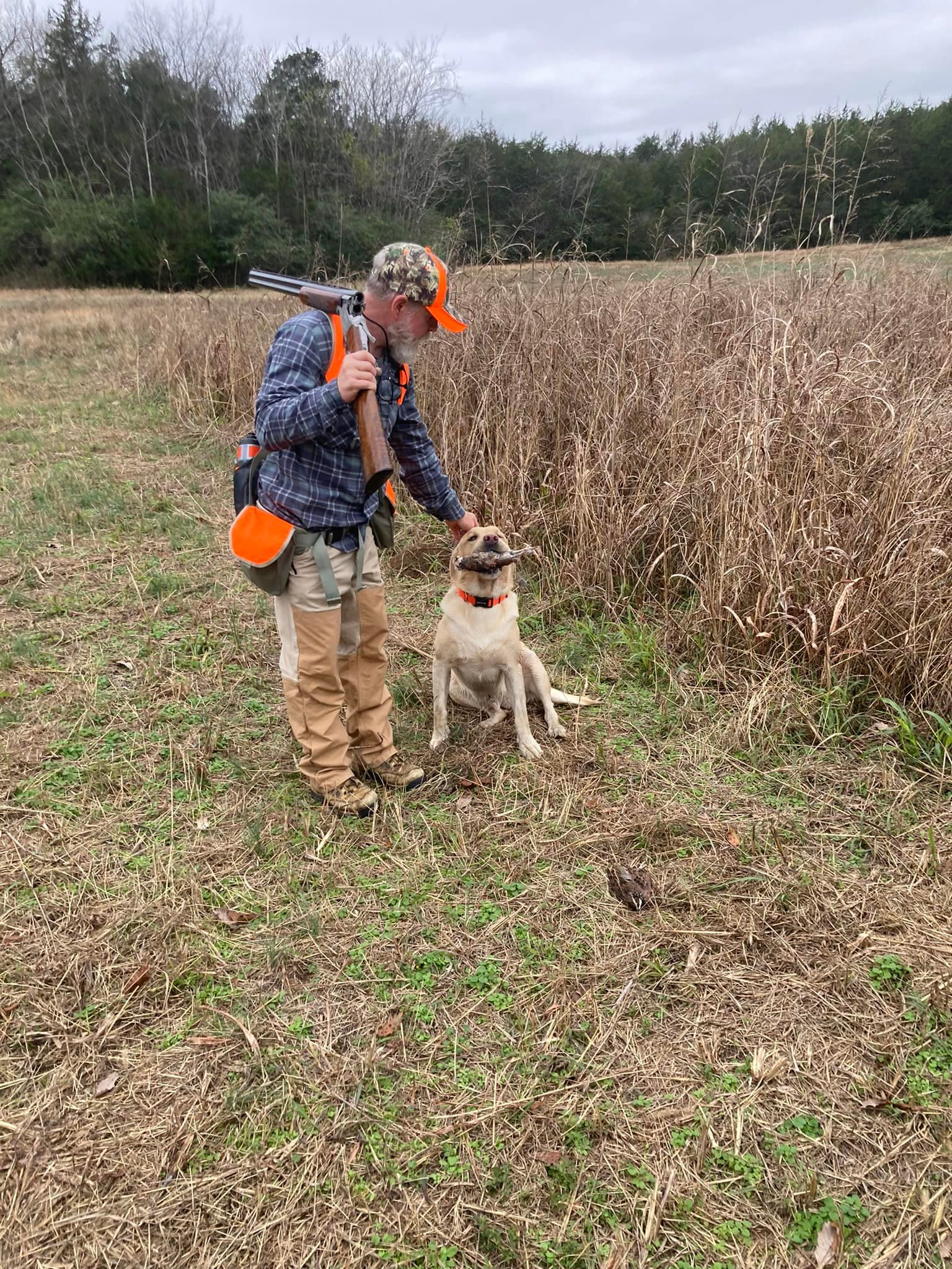 Cedar Rock Hunting Preserve