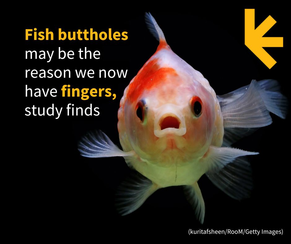 ScienceAlert - It's a beautiful illustration of nature's... | Facebook