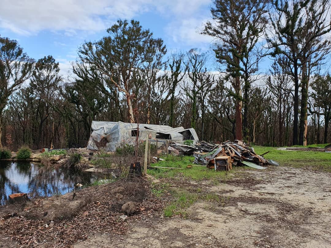 Greater Mogo Fire Recovery