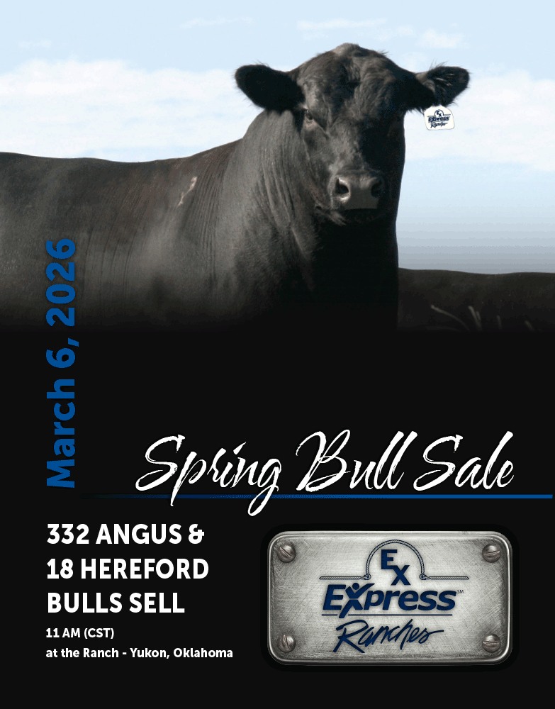 Express - >>> 𝗖 𝗔 𝗧 𝗔 𝗟 𝗢 𝗚 𝗣 𝗢 𝗦 𝗧 𝗘 𝗗