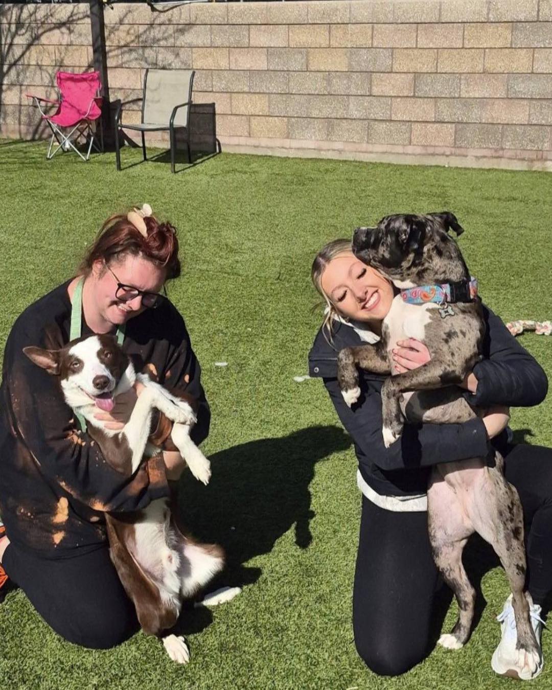 MaxFun... - MaxFund No-Kill Animal Shelter and Adoption Center
