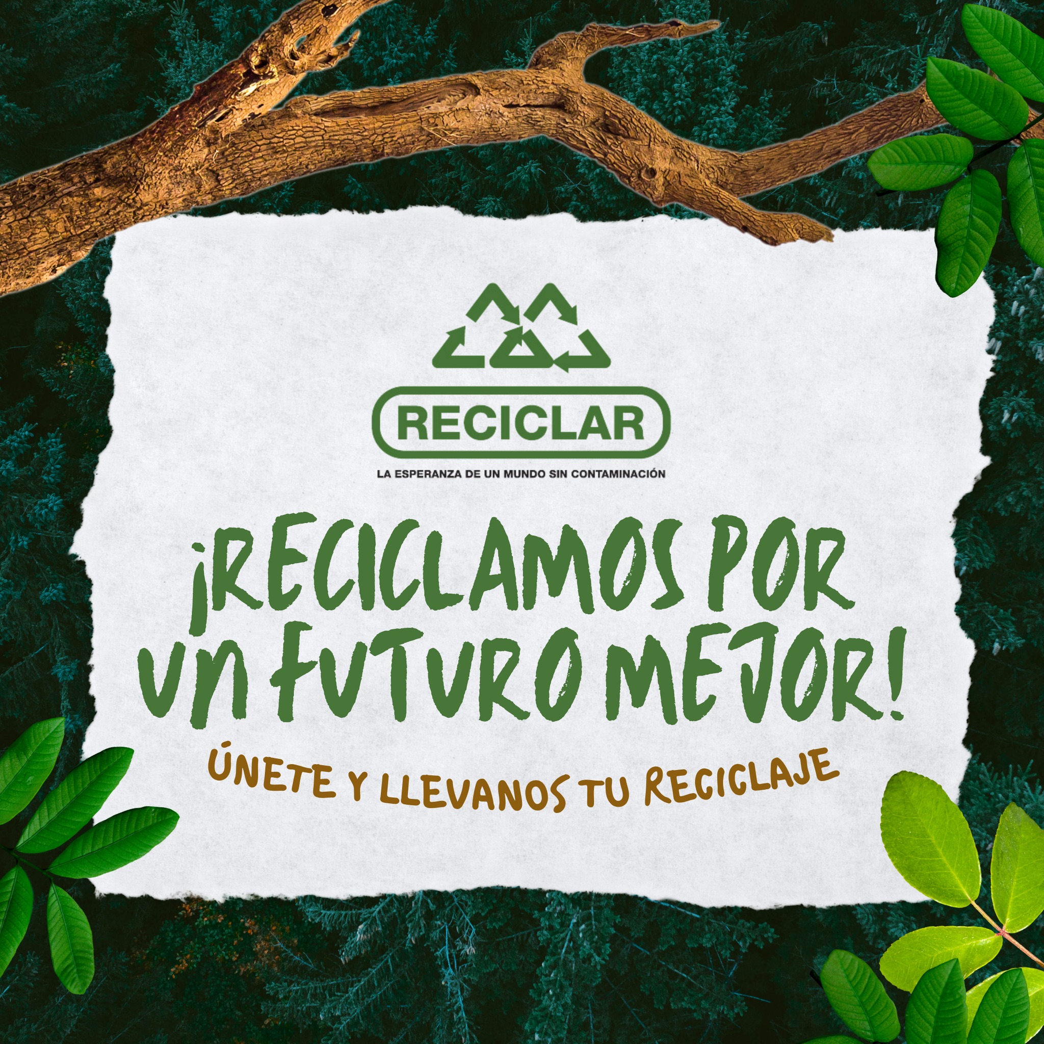 Reciclar Cía. Ltda. - El cuidado del medio ambiente representa a todas ...