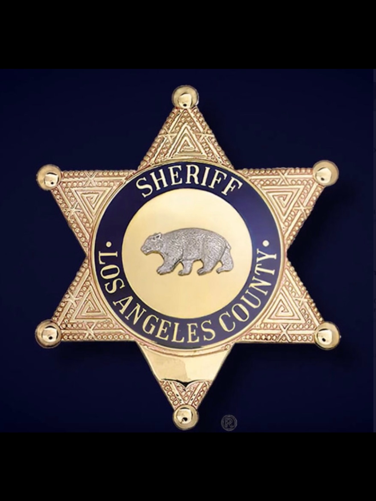 LASD Transit Services Bureau | Los Angeles CA