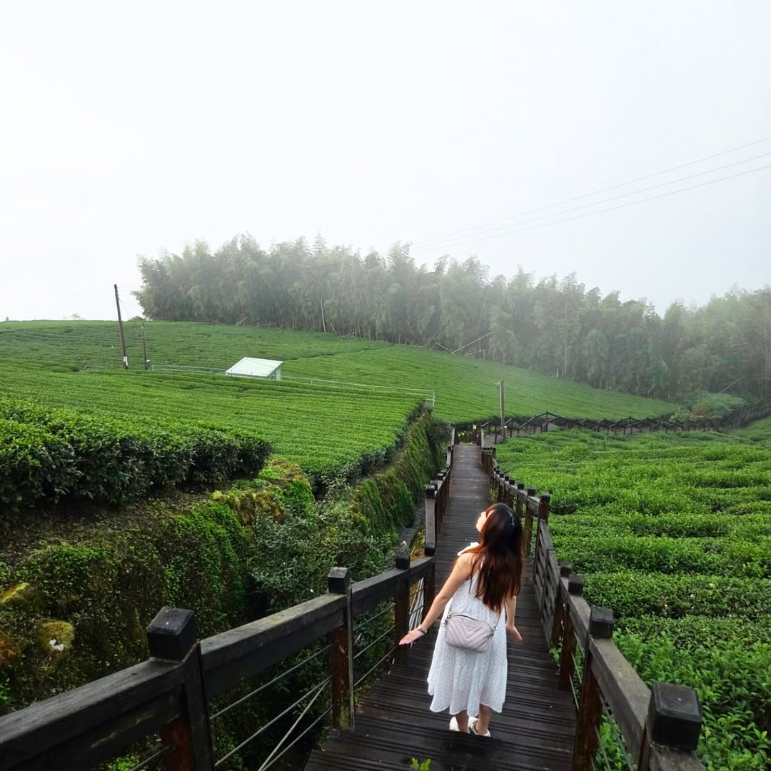 阿里山 - 📍石棹霞之道 把週末，浪費在最美好的山色裡。🍵 在雲霧尚未完全散去的茶園間， 深呼吸一口帶著泥土與茶香的空氣， 感覺整個身心徹底 ...