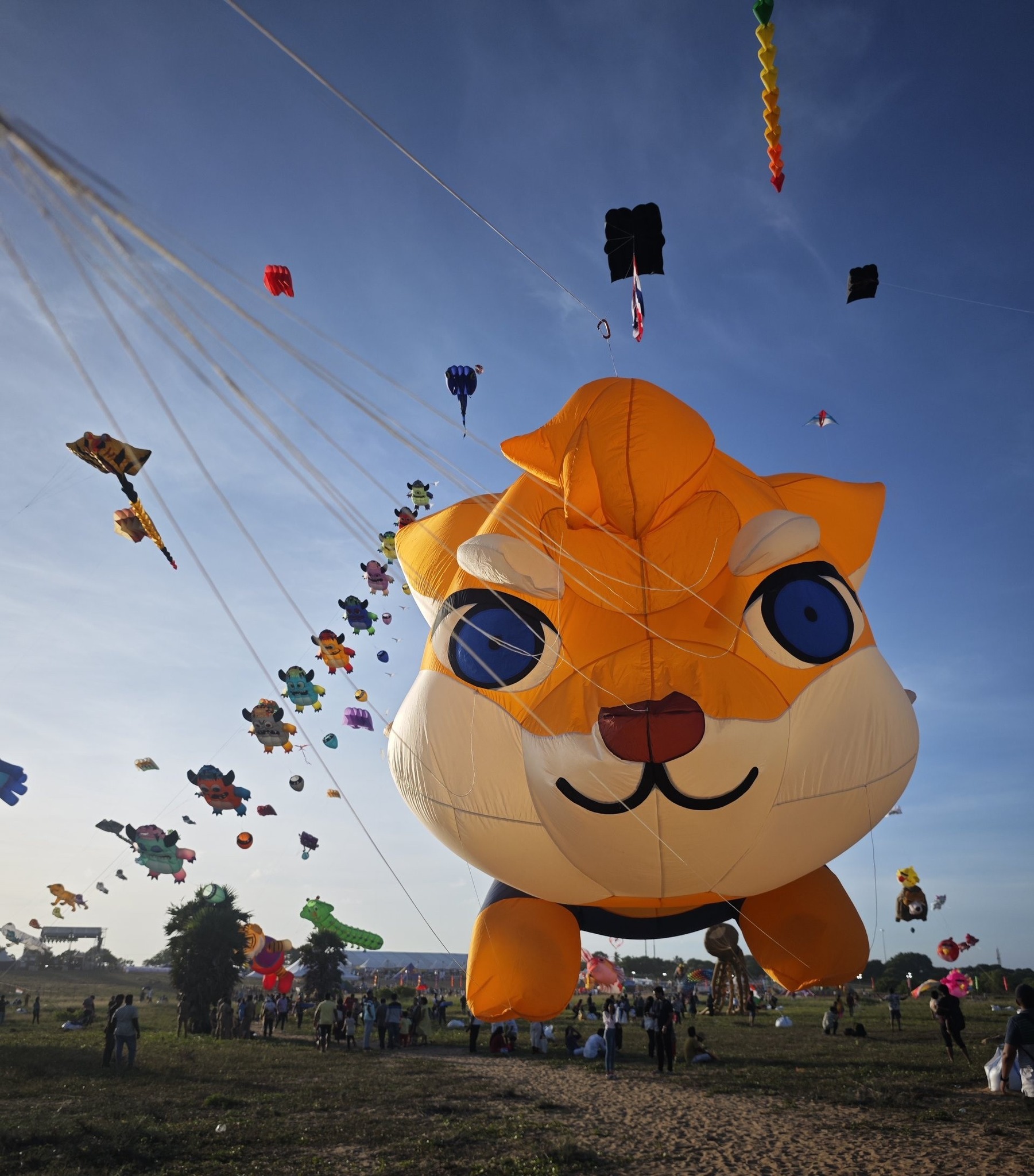 Thai... - Thaitan Kite Team Thailand ทีมว่าวยักษ์ไทย ยักษ์ยิ้ม