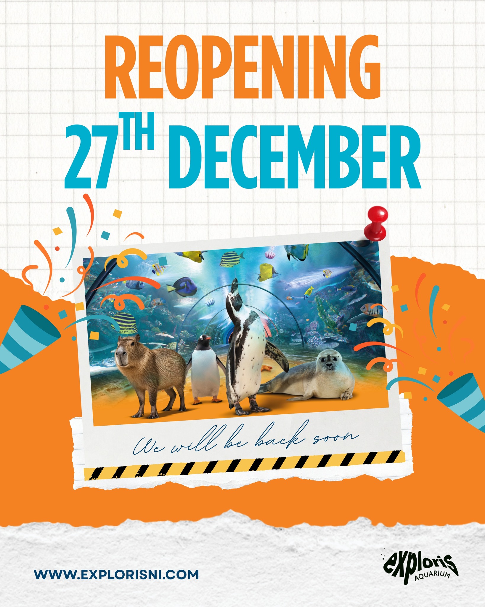 Exploris Aquarium | Portaferry