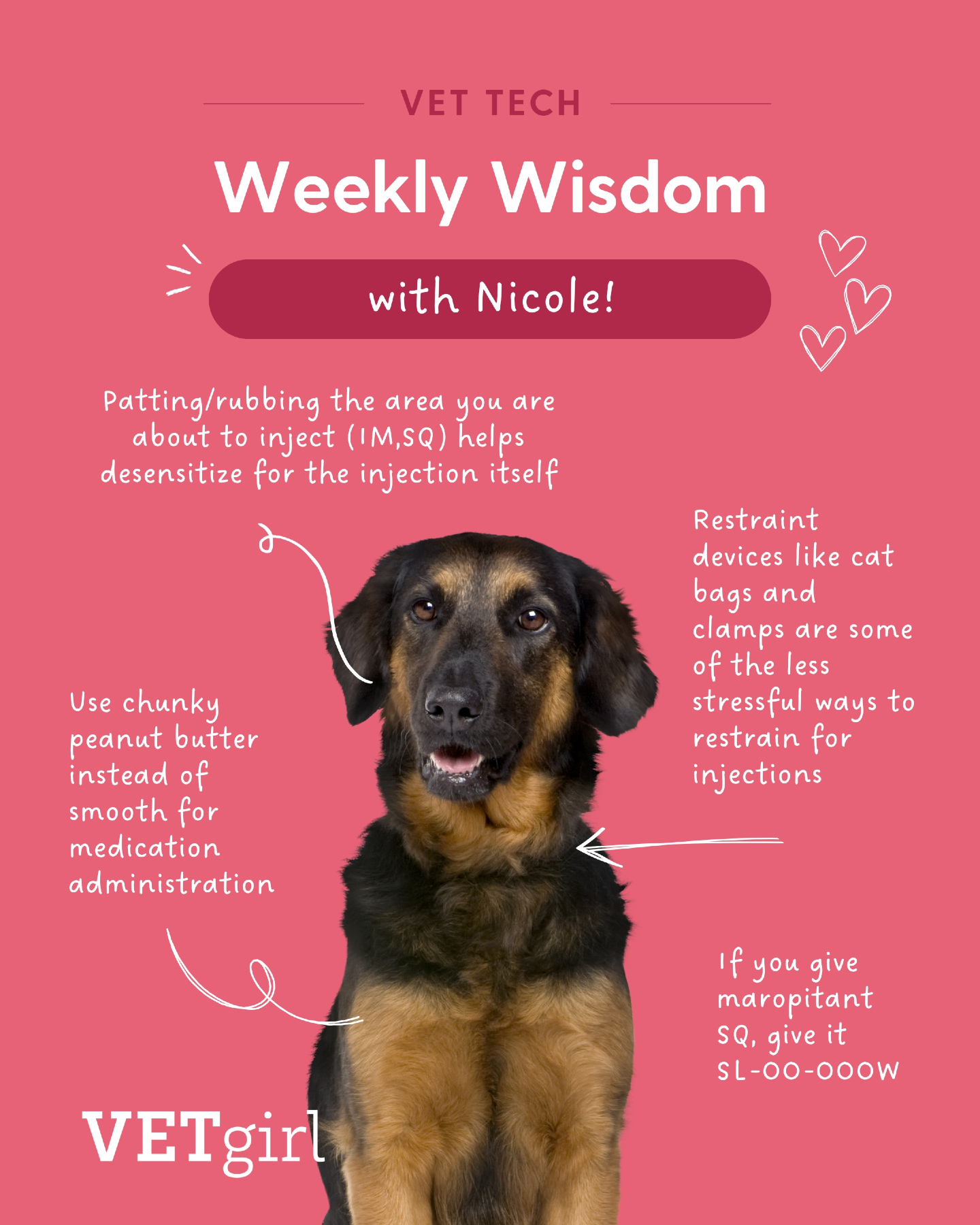 VETgirl - Vet Tech Weekly Wisdom with Nicole! #VetTechWisdom # ...