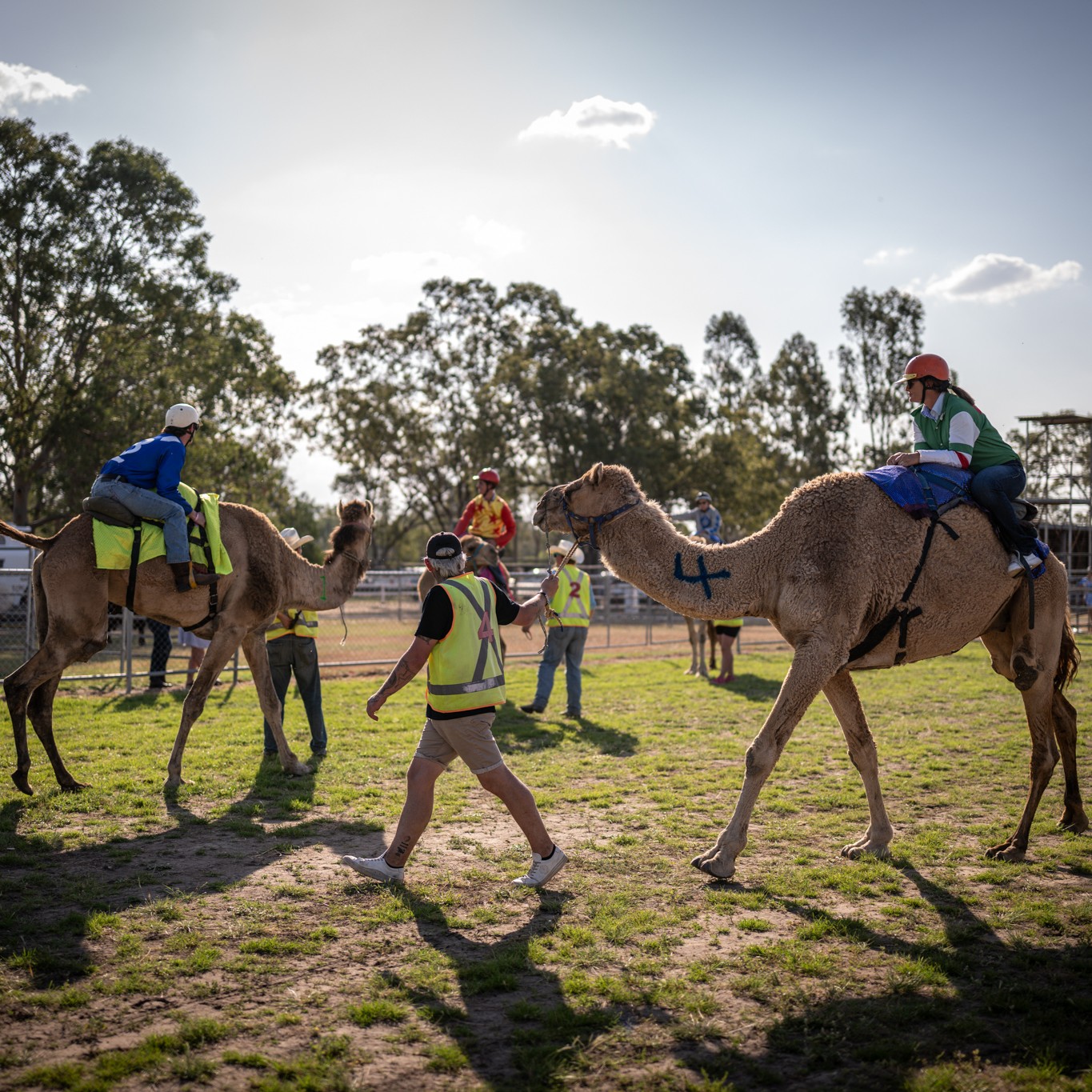 Wandoan Camel Races are a local... - Shell's QGC business | Facebook