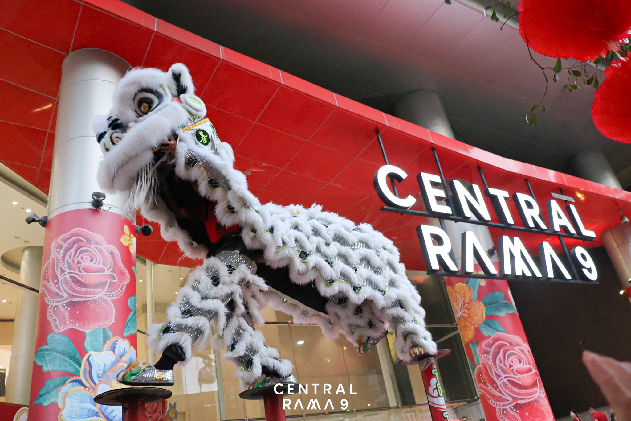 Central Rama 9 - 📣 #Shabushi จัดความ “คุ้ม”... | Facebook