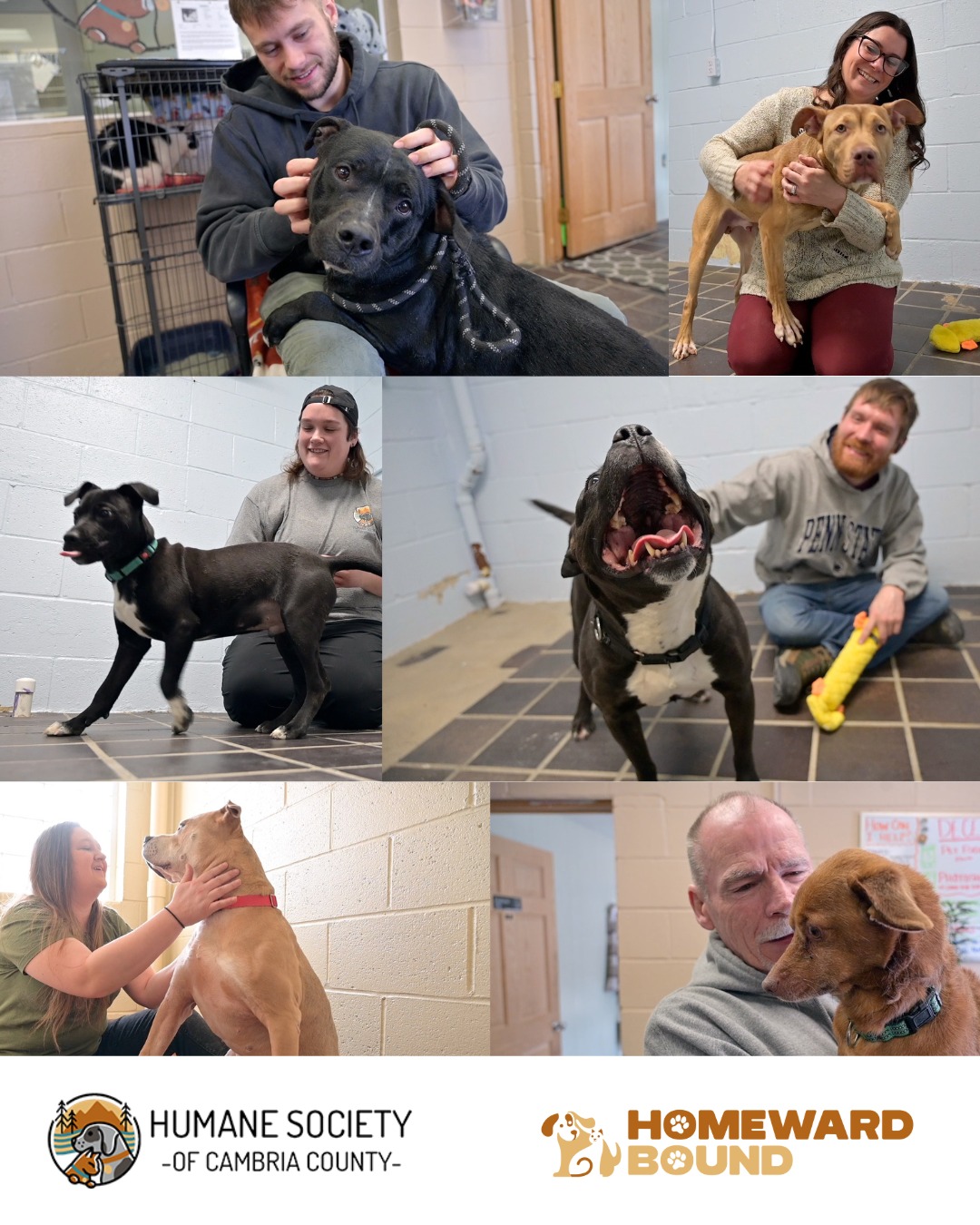 Humane Society of Cambria County | Johnstown PA