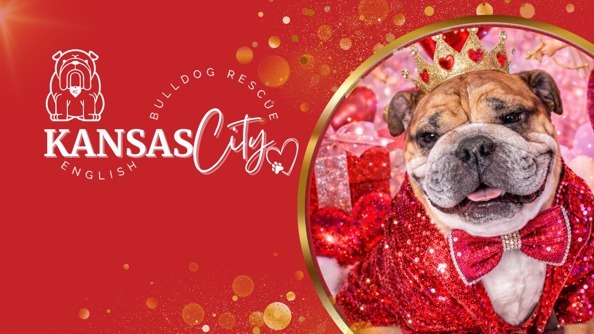 Kansas City English Bulldog Rescue | Kansas City MO