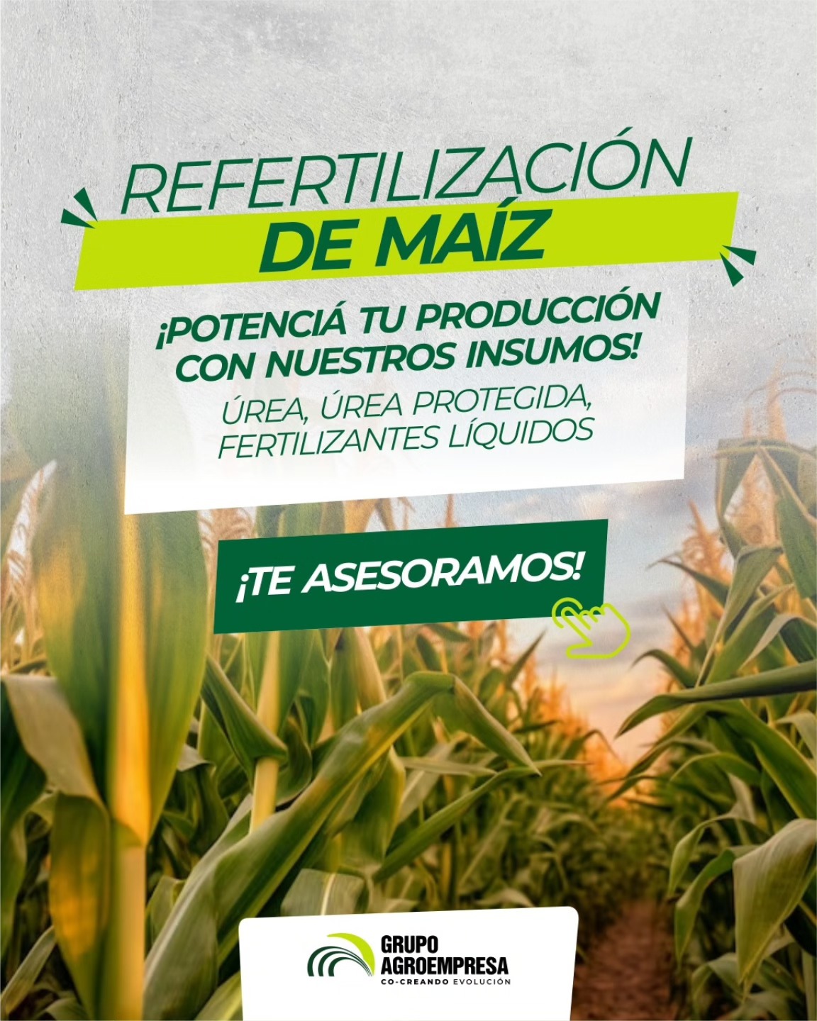 Grupo Agroempresa | Sinsacate