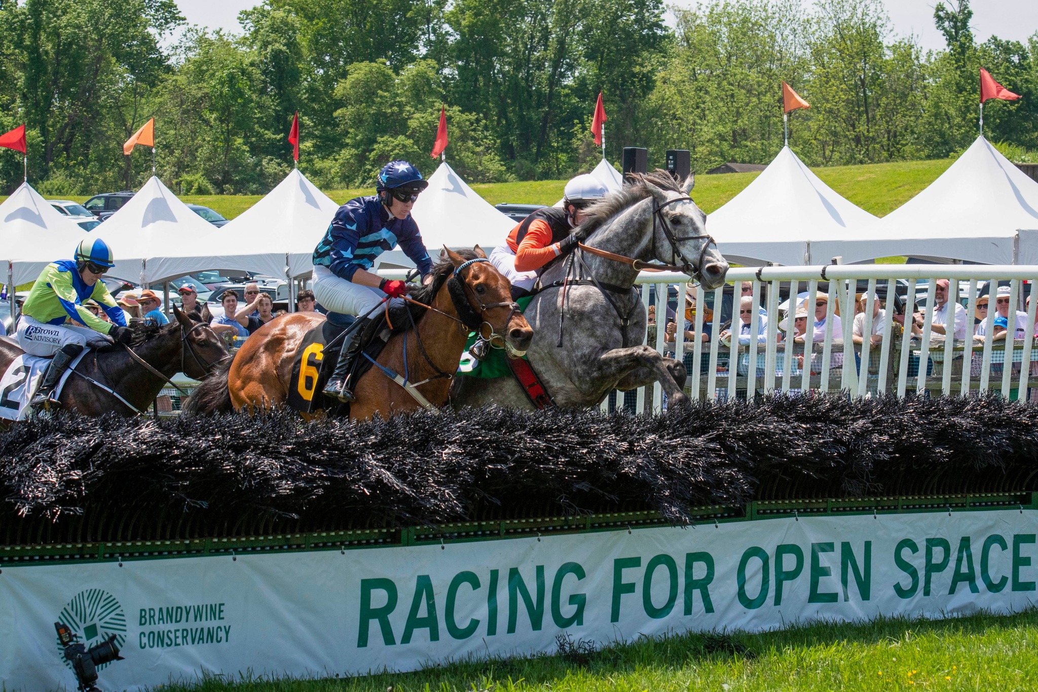 95th Radnor Hunt Races, benefiting the Brandywine Conservancy