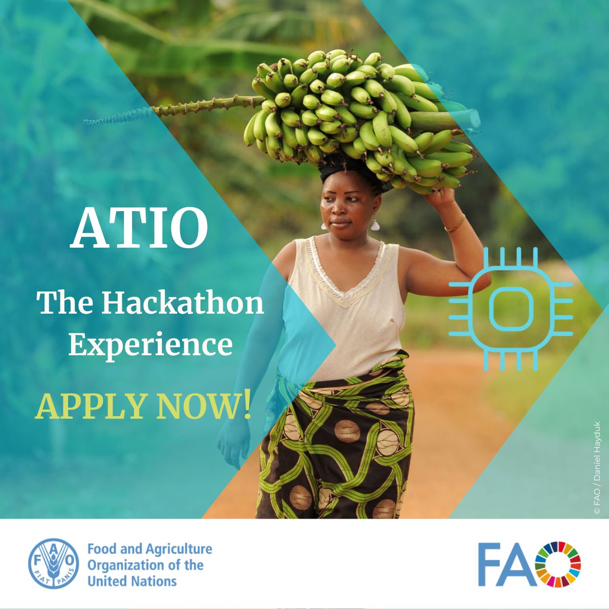 Opportunities - 🌱 Join the ATIO Knowledge Base App Hackathon! Co-create ...